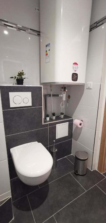 App 11 Mulhouse Centre , 4 Personnes Apartman Kültér fotó